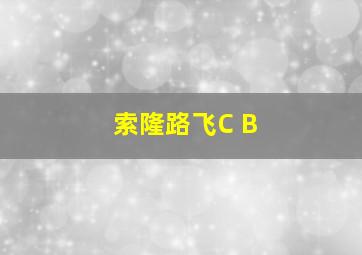 索隆路飞C B